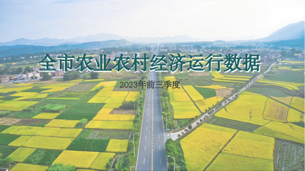 2023ǰȫũҵũ徭